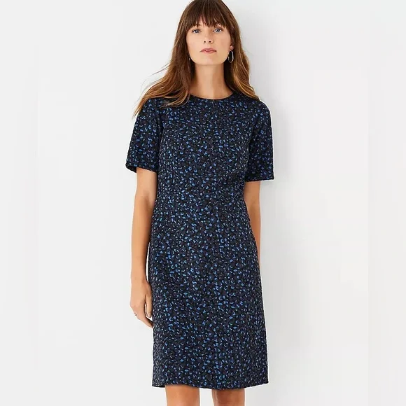 Ann Taylor | Dresses | Nwot Ann Taylor Petite Animal Print Seamed Flare Dress Blue | Poshmark Ann Taylor | Dresses | Nwot Ann Taylor Petite Animal Print Seamed Flare Dress Blue | Poshmark